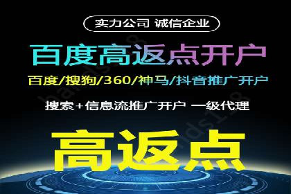 成功案例：SEM竞价托管的策略与效果